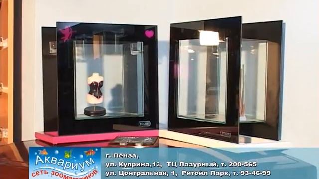 Аквариум сеть магазинов AkvariumPer5 смотреть онлайн