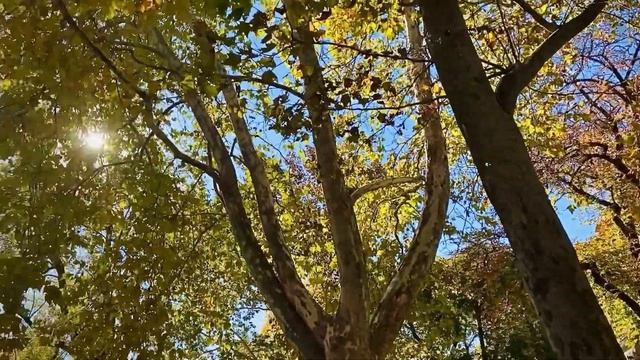 Budapest #1 How We Spend ONE Month In Budapest?