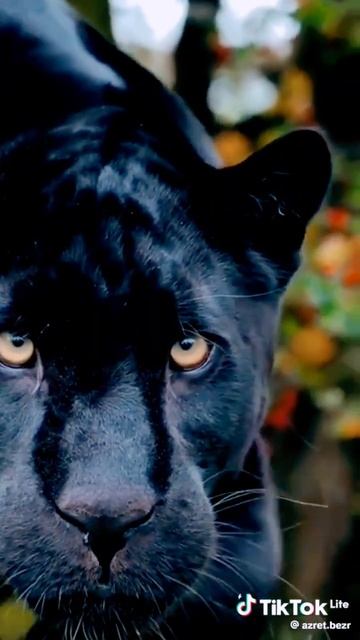 29 марта 2024 г. смотреть онлайн