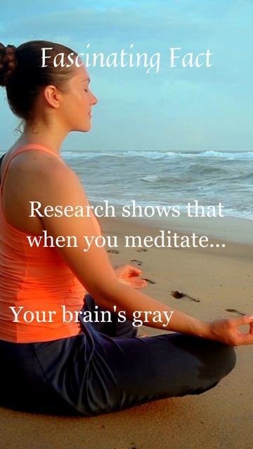 Mindfulness Matters: How Meditation Boosts Brain Gray Matter смотреть онлайн