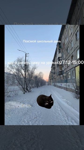а чо писать|#котики#собаки#кошки#коты #кот#кошка#котик смотреть онлайн