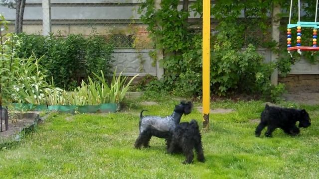 DSCN2853 смотреть онлайн