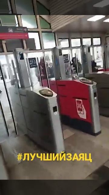 Лучший заяц в электричке смотреть онлайн