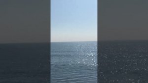 Манок Кынат в работе!