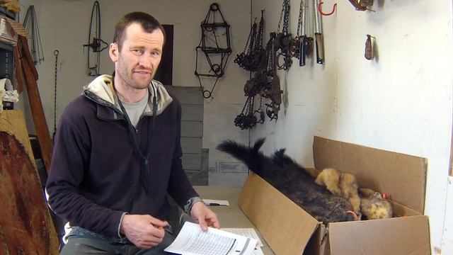 Shipping Furs to Get Tanned смотреть онлайн