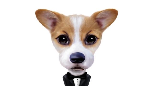 Dog Grooming Training and Dog Grooming School Online For Groomers смотреть онлайн