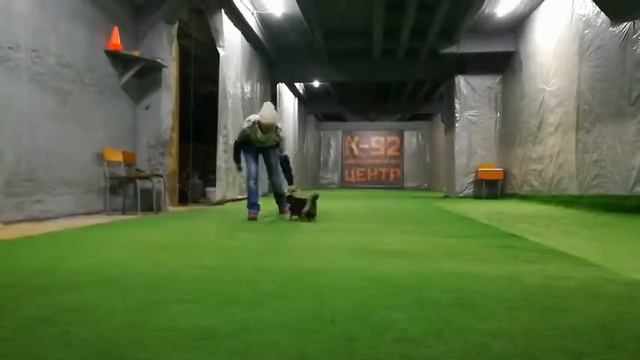 Гости в Дрессировочном Центре К-92 г. Севастополь смотреть онлайн