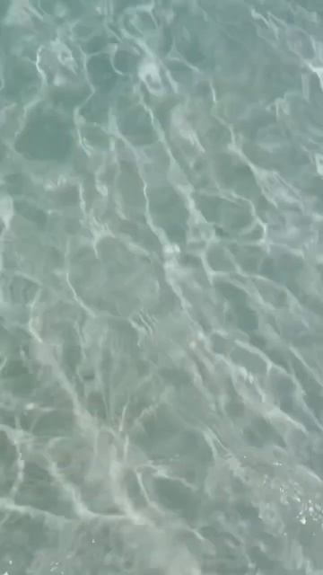 Fighting kangaroos and snakes, hiking 3km with no shoes #biglapofoz #4wd #roadtrip #overlanding смотреть онлайн