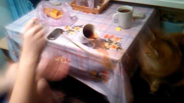 Пакостливый кот! Ты будешь это пересматривать раз за разом смотреть онлайн