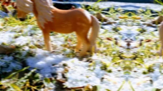 ~фото с лошадьми schleich~ на природе🌿☄️✨ смотреть онлайн