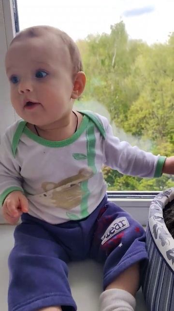 Аккуратно гладит котиков, чтобы не укусили 😄 смотреть онлайн