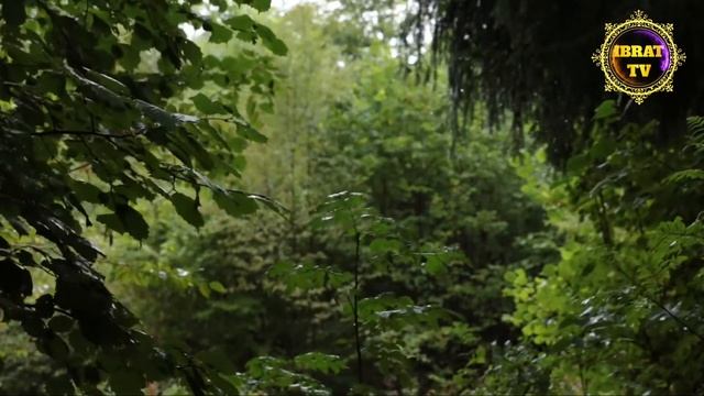 Ayanchli Voqea~Eri va Yettida Bolasini Yerga Bergan Ayol смотреть онлайн