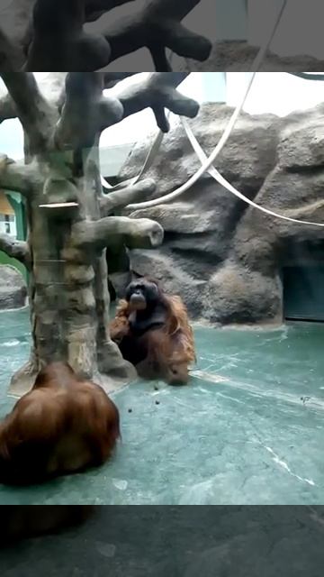 За пару минут до того, как "Отстань, голова болит!" смотреть онлайн