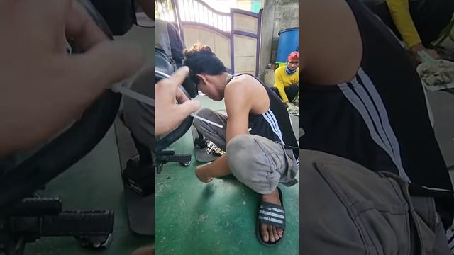 palit crash guard. KVS 650 смотреть онлайн