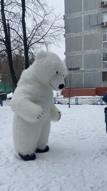 Мишка #MishkaDance снова приятно удивляет))#Shorts смотреть онлайн