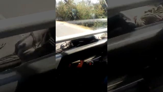 Sp college geology field tour смотреть онлайн