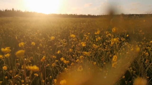 Терский берег смотреть онлайн