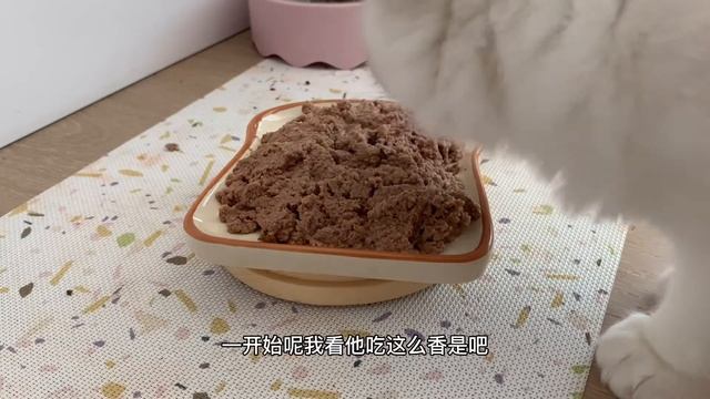 Wellness Core Kitten罐头 смотреть онлайн