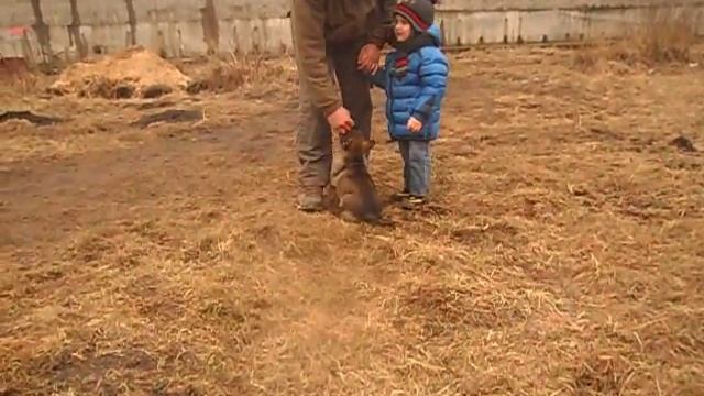 Bob 53 дня смотреть онлайн