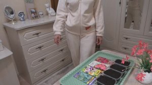 Начало февраля 2025 года. Сею Виолу и цинерарию...