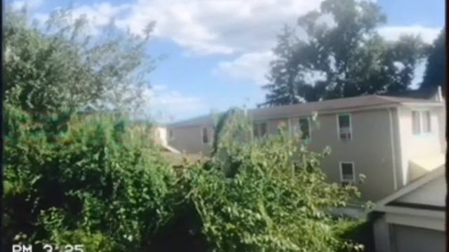 VHS recording app смотреть онлайн