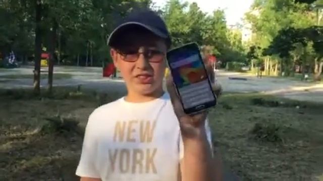 Хомечки в норках смотреть онлайн