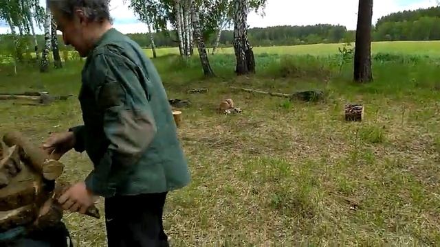 Перевозка дров (Кедровка 16.06.18) смотреть онлайн