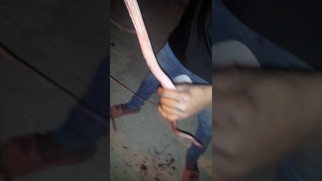 Agarran culebra y la pelan para sacarle el hacerte смотреть онлайн