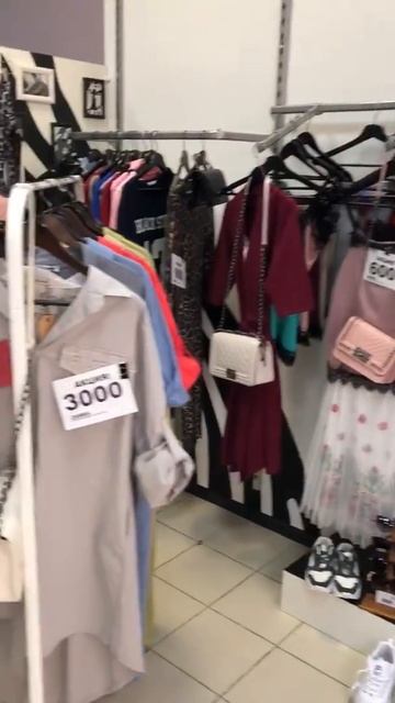 showroom zebra смотреть онлайн