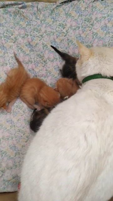 Неожиданная находка. Устраиваемся. смотреть онлайн