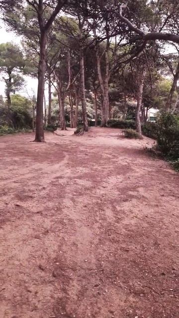 Зачем украли енота в Херсоне? смотреть онлайн