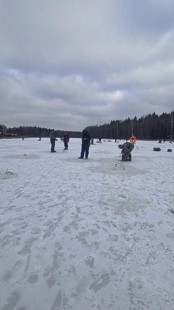 Поимки гольца и форели смотреть онлайн