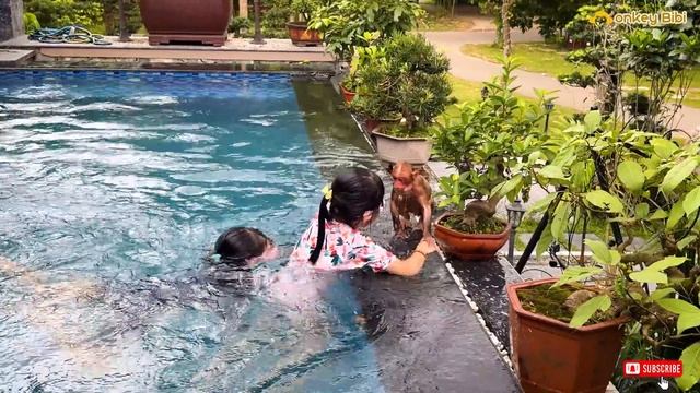 Bibi and Xuka and Chip enlisted swimming before checking out of the resort! смотреть онлайн