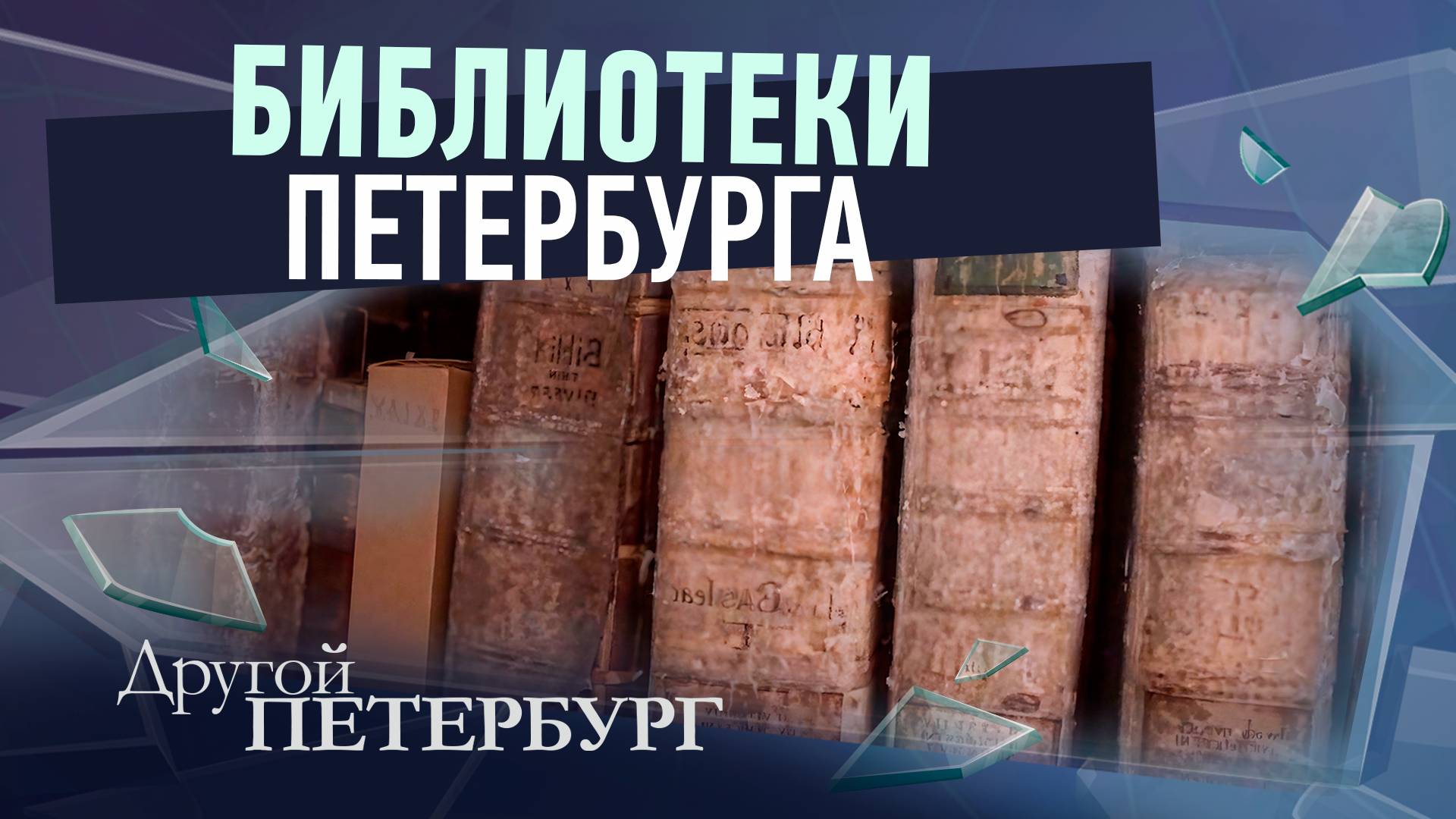 Библиотеки Петербурга смотреть онлайн