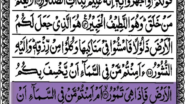 SUTAHT-AL-MULK Beautiful Recitation by Qari OMAR Hisham Al Arabi | Beautiful video | Quran Tilawate смотреть онлайн