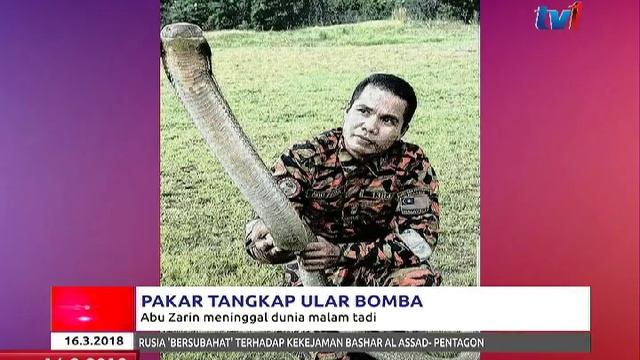PAKAR TANGKAP ULAR BOMBA – ABU ZARIN MENINGGAL DUNIA MALAM TADI [16 MAC 2018] смотреть онлайн