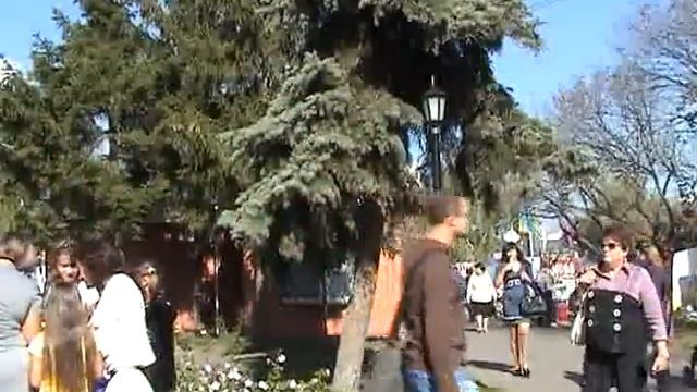 Свято Миргородської свині 2012 mpeg2video смотреть онлайн