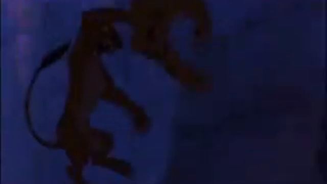 Lion King 2 - This is Halloween смотреть онлайн