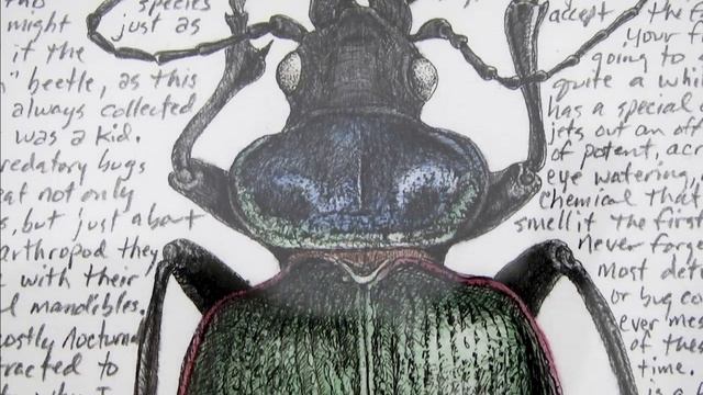 Artist lures audience by combining natural science, drawing, and journaling смотреть онлайн