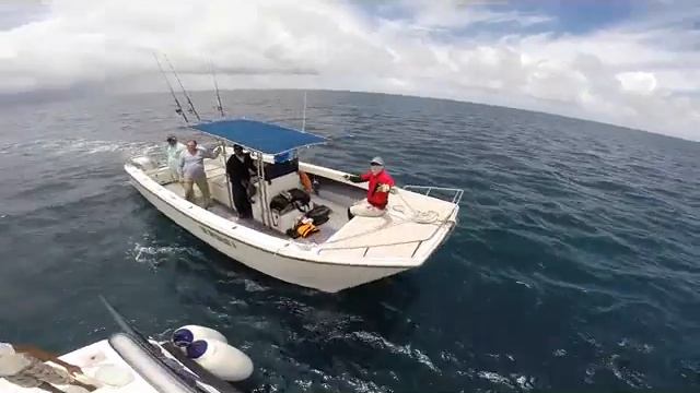 Fishing in Seychelles - testing Blue Marlin Fishing Tackle HK смотреть онлайн