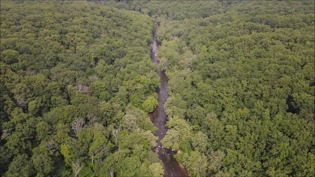 Just a relaxing drone video. смотреть онлайн
