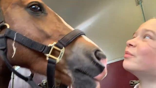 I Fractured My Elbow! Ava & Kitty смотреть онлайн