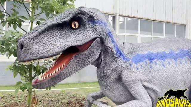 Visible Legs Blue Raptor Halloween Costume | Dinosaur Costume смотреть онлайн