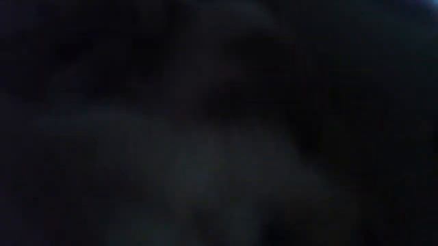 наше первое видео с кошкой смотреть онлайн