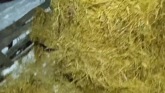 приехал в деревню на выходные смотреть онлайн