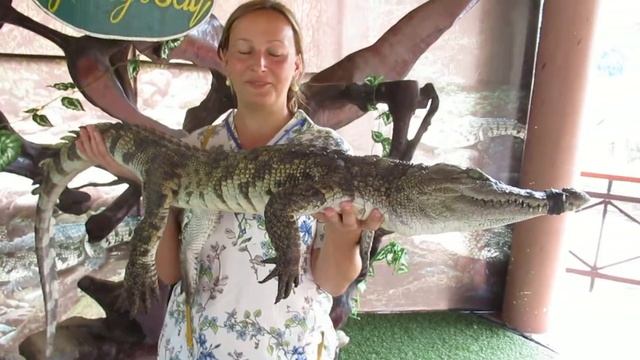 Саша с крокодилом смотреть онлайн