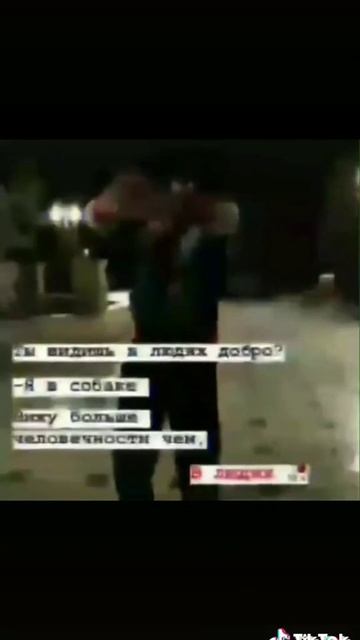 Собака друг человека 🐕 смотреть онлайн