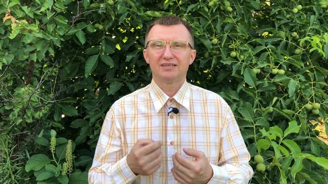 Гиперответственность #созависимостькакизбавиться #созависимость #созависимыеотношения смотреть онлайн