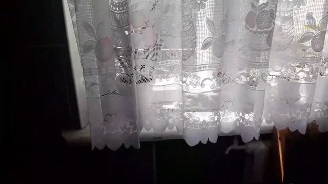 Кошачьи бои без правил 🙀. Вытираю пыль и хвастаюсь🤩. смотреть онлайн