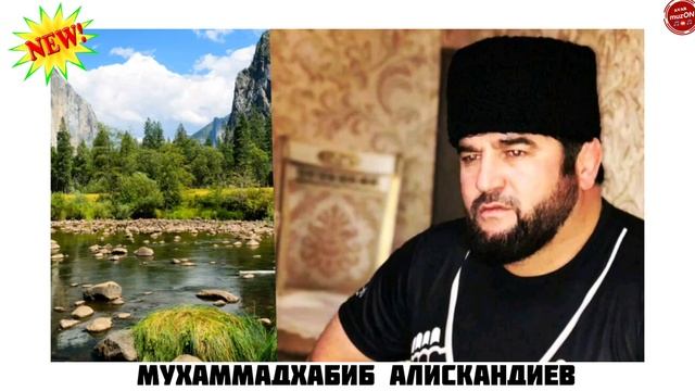 (Новинка_2020) Мухаммадхабиб Алискандиев "Марьям" смотреть онлайн